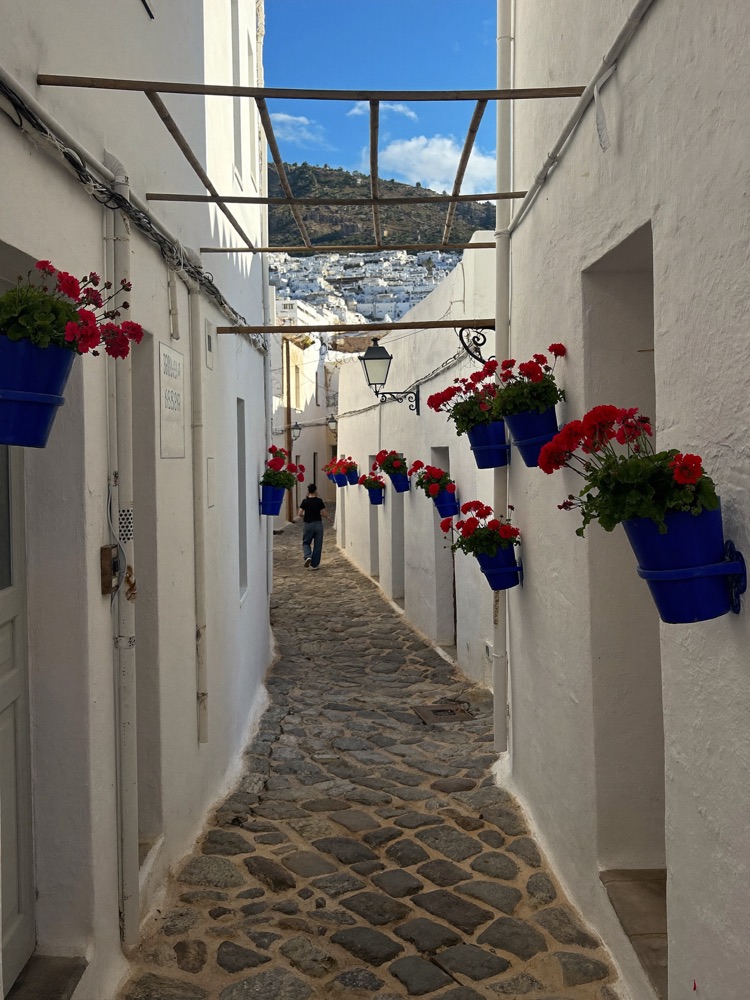 Whitewashed street with blue flower pots in an Andalusian village